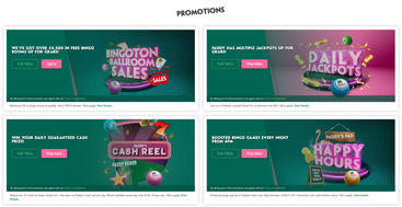 Some of the current promotions available on Paddy Power Bingo