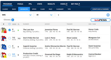 twinspires bets for horse racing online