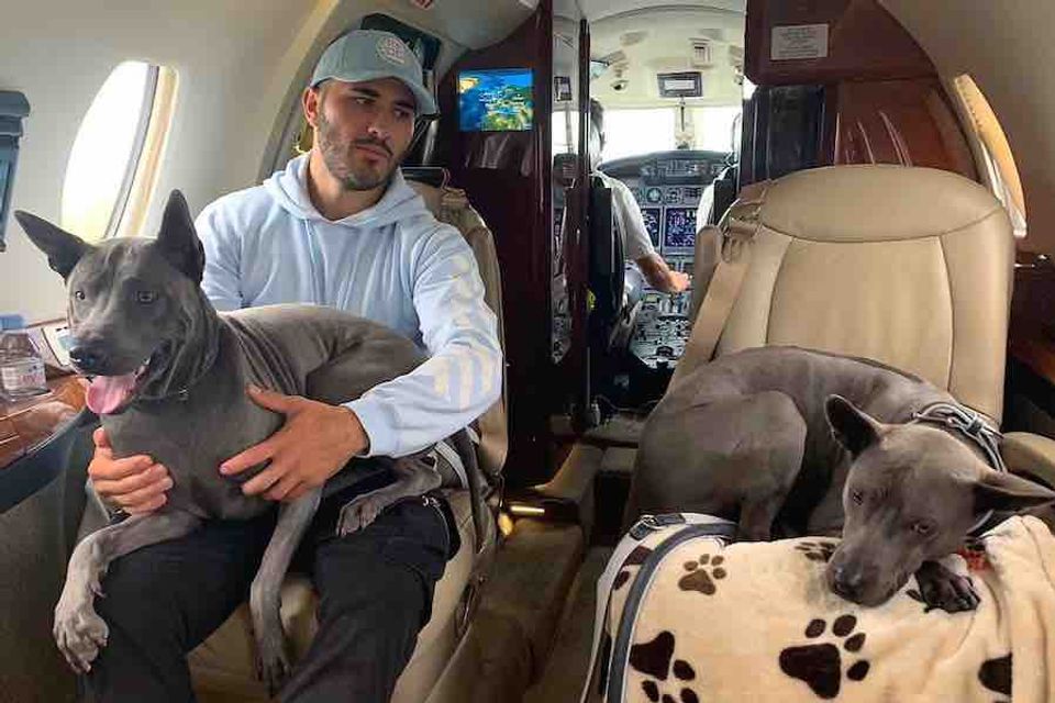 Photo: Arsenal star and his dogs on private jet
