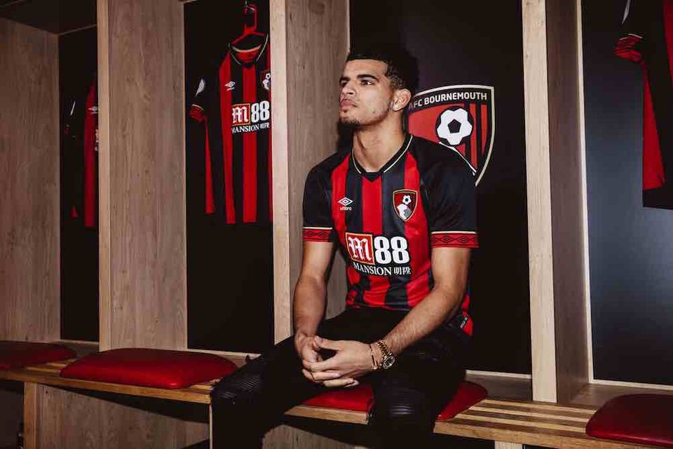 Photo: Dom Solanke poses in Bournemouth kit after transfer from Liverpool