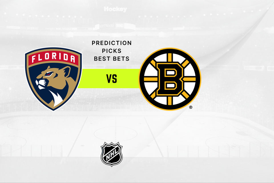 Florida Panthers vs Boston Bruins Prediction & Odds - 01/11/2025