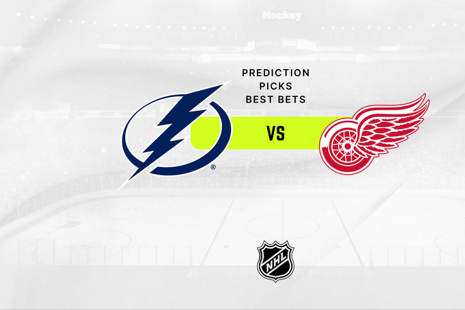 Tampa Bay Lightning vs Detroit Red Wings Prediction & Odds - 01/18/2025