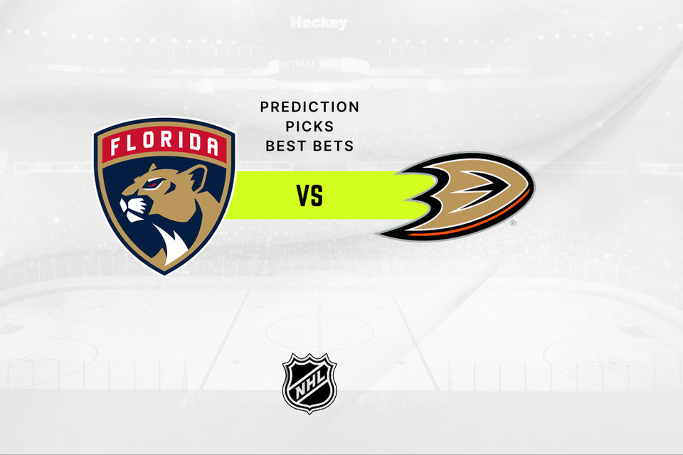 Florida Panthers vs Anaheim Ducks Prediction & Odds - 01/18/2025